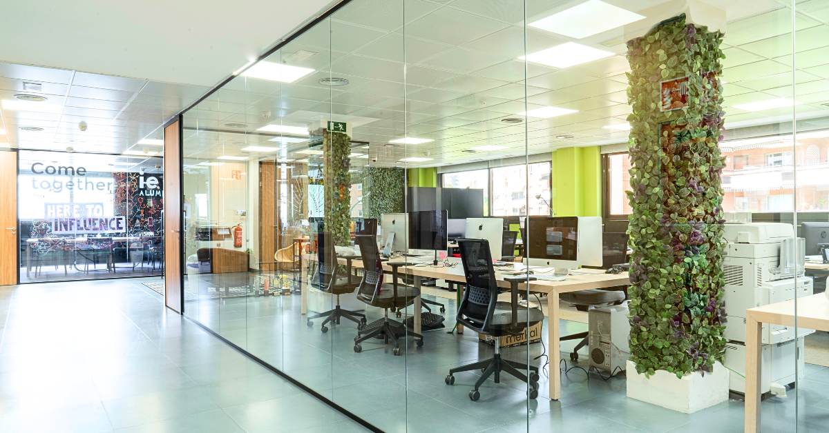 Zona de trabajo compartida en LED coworking con escritorios modernos, luz natural, decoración con vegetación y espacios acristalados que fomentan la colaboración y el confort.