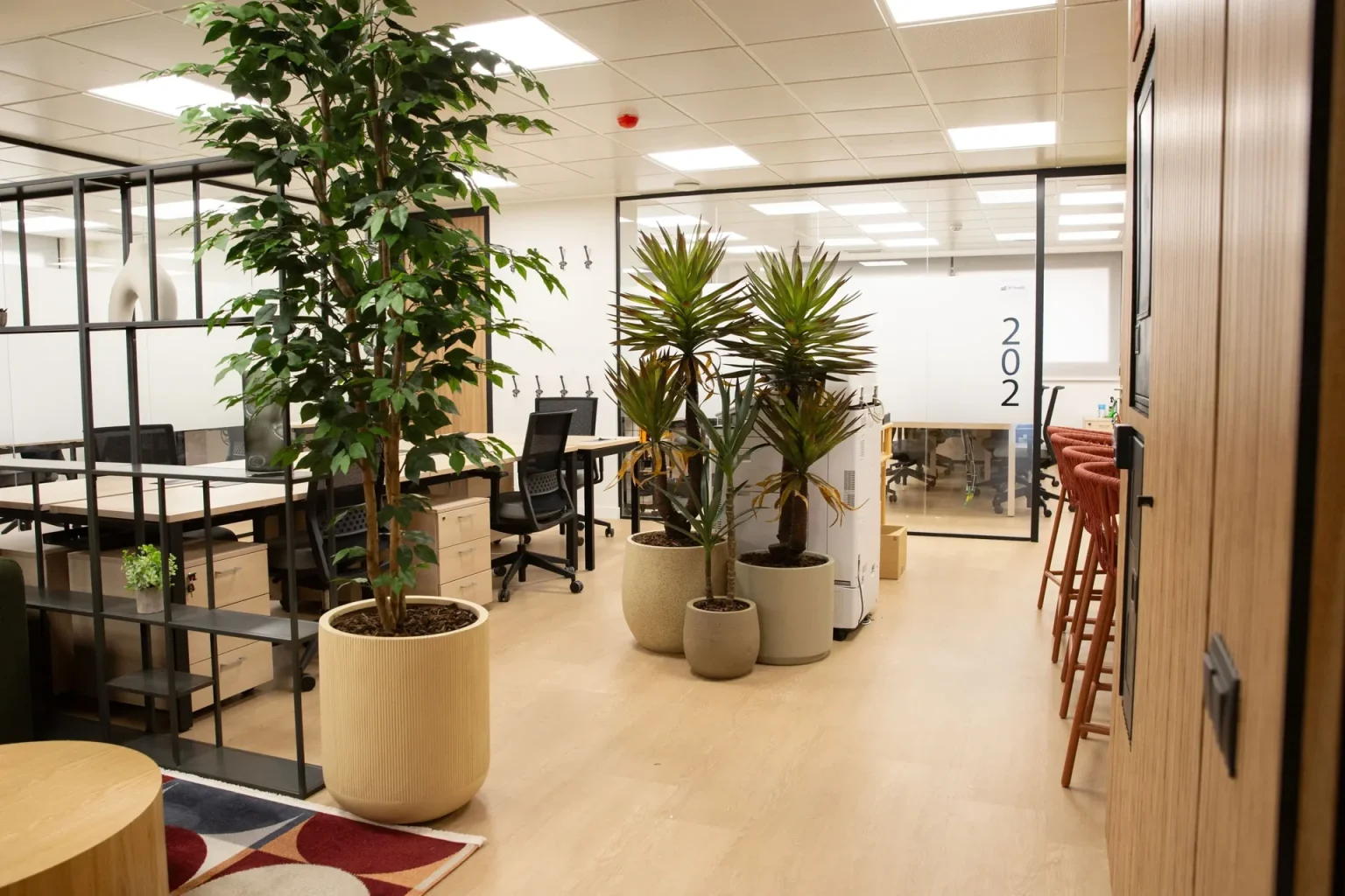 Planta de trabajo abierta con plantas y cristaleras